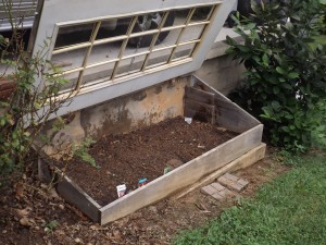 Use covered  cold frame for vegetable storage in winter