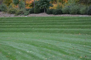 Beautiful Manicured lawn At Longwood Gardens in Kennett Square, PA