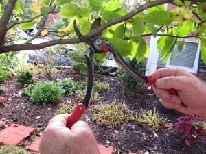 Lopper mode for larger pruning cuts