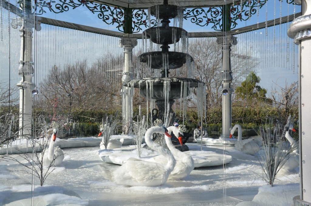 Twelve Days Of Christmas Showcase At Dallas Arboretum What Grows