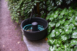 Backup Watering System